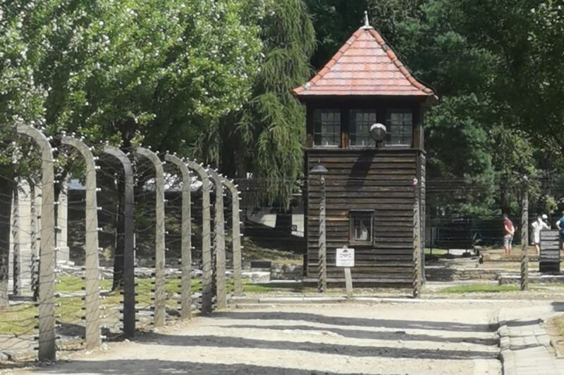 From Krakow: Auschwitz-Birkenau Camp Complex Guided Day Trip - Final Thoughts: Is This Tour Right for You?