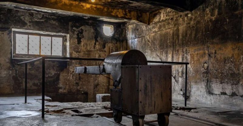 From Krakow: Auschwitz-Birkenau Full-Day Tour - From Krakow: Auschwitz-Birkenau Full-Day Tour — A Thoughtful Journey into History
