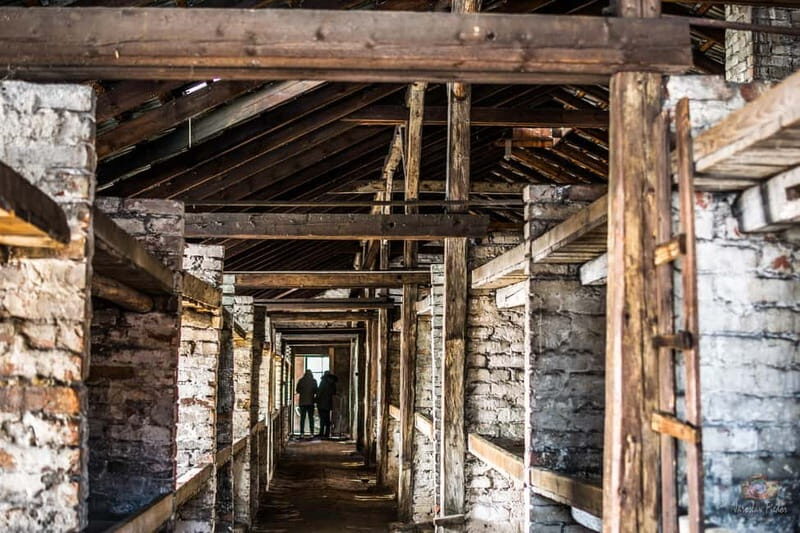 From Krakow: Auschwitz-Birkenau Guided Tour & Transportation - Who Should Take This Tour?