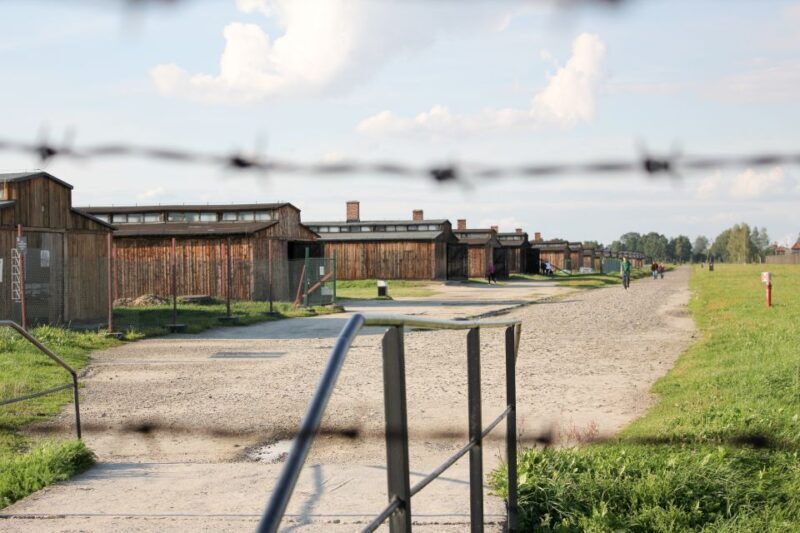 From Kraków: Auschwitz-Birkenau Memorial Guided Tour - Key Points