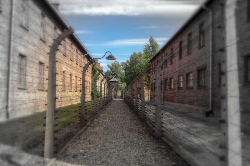 From Krakow: Auschwitz-Birkenau Private or Shared Tour - Transition to Birkenau: Moving Through Time and Space