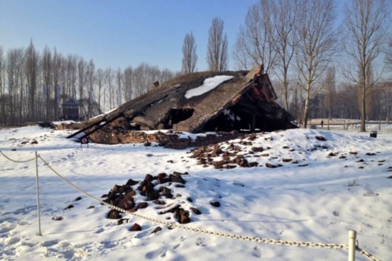From Krakow: Auschwitz-Birkenau Private or Shared Tour - Who Is This Tour Best For?