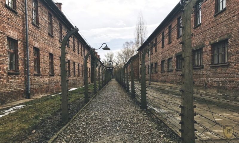 From Krakow: Auschwitz Birkenau Self-Guided Tour - Who Should Consider This Tour?