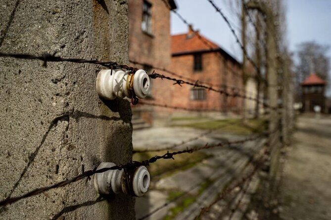 From Kraków: Auschwitz-Birkenau Tour with Lunch Box and Pick Up - A Detailed Look at the Auschwitz-Birkenau Tour from Kraków