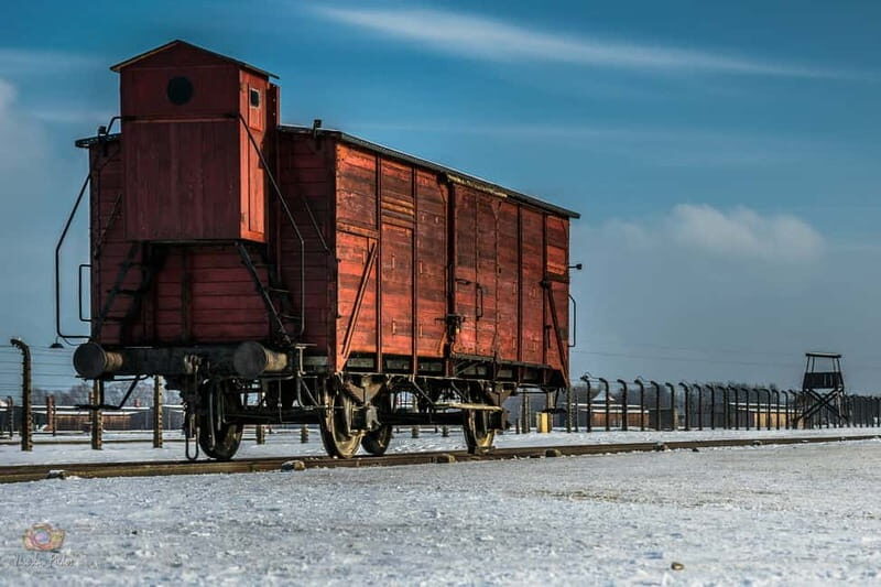 From Krakow: Auschwitz-Birkenau Tour with Transportation - A Closer Look at the Auschwitz-Birkenau Tour Experience
