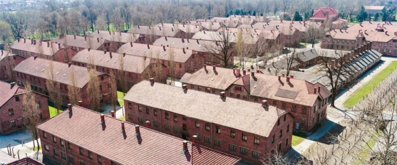 From Krakow: Auschwitz-Birkenau Tour with Transportation - Key Points