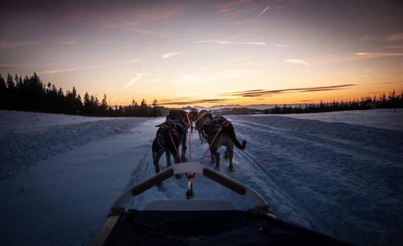 From Krakow: Dogsled Ride in Tatra Mountain - The Practicalities: What You Need to Know