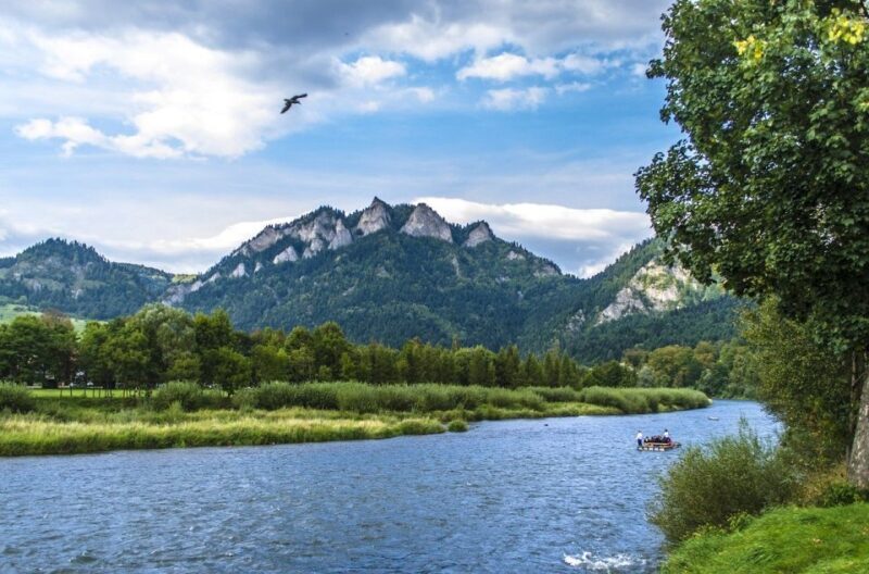 From Krakow: Dunajec Full-Day River Rafting - A Deep Dive into the Dunajec River Adventure