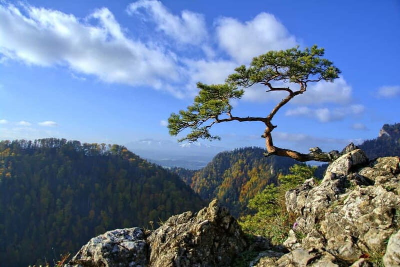 From Krakow: Full-Day Dunajec River Rafting Tour - An In-Depth Look at the Dunajec River Rafting Tour from Krakow