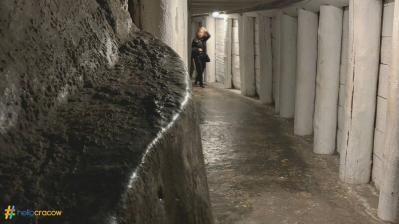 From Krakow: Guided Tour in Wieliczka Salt Mine - Analyzing the Value
