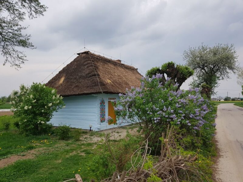 From Krakow: Guided Tour of Zalipie - Exploring Zalipie: A Guided Journey from Krakow