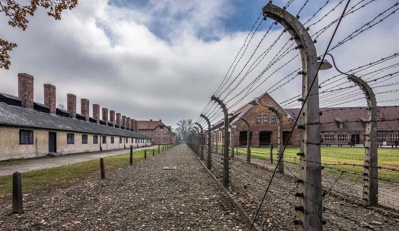 From Krakow: Last Minute Auschwitz-Birkenau Guided Tour - The Sum Up