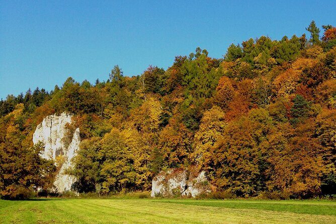 From Krakow: Ojcow National Park and Pieskowa Skala Castle - Who Should Consider This Tour?