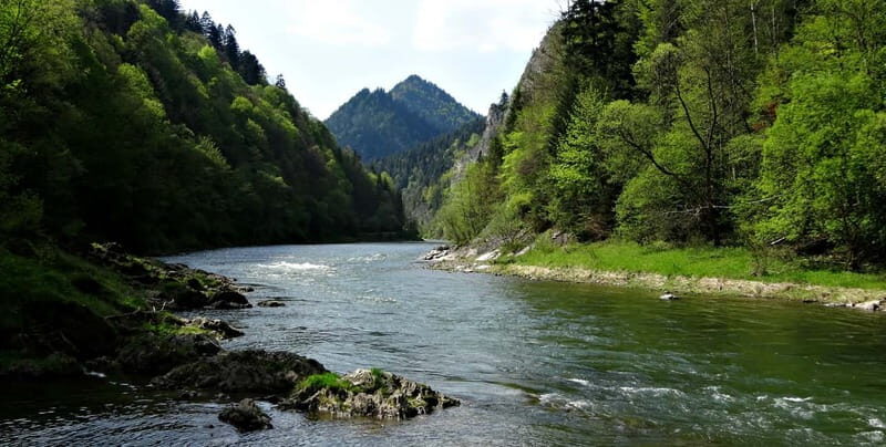 From Krakow: Rafting on Dunajec River Full-Day Trip - Who Will Love This Experience?