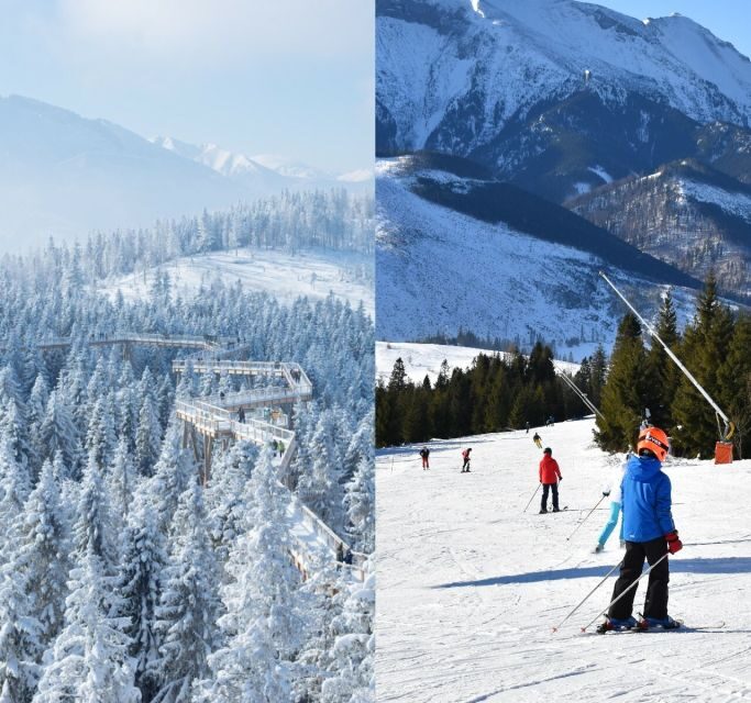 From Kraków: Slovakia Treetop Walk & 4-Hour Ski Pass - From Kraków: Slovakia Treetop Walk & 4-Hour Ski Pass — An Authentic Day of Nature and Adventure
