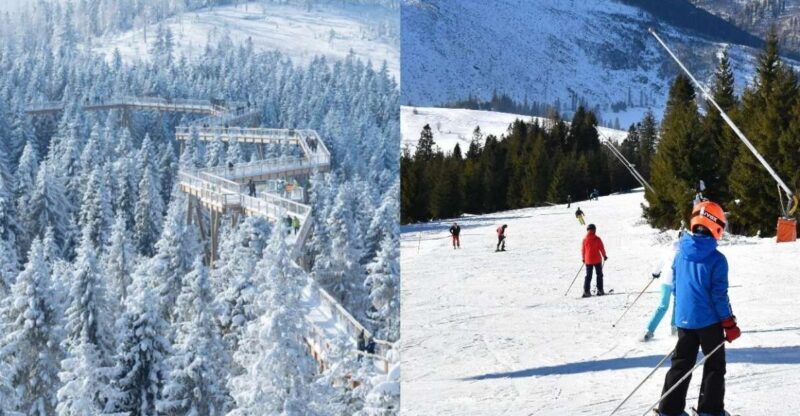 From Kraków: Slovakia Treetop Walk & 4-Hour Ski Pass - Why This Tour Offers Great Value