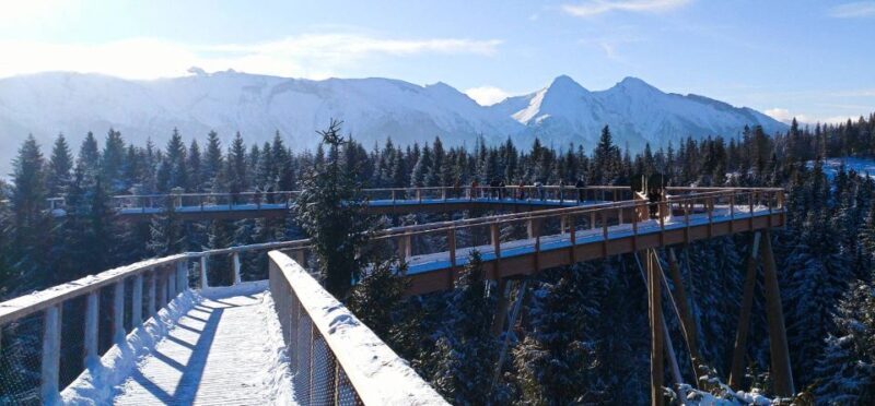From Kraków: Slovakia Treetop Walk & 4-Hour Ski Pass - The Sum Up