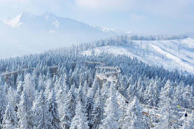 From Kraków: Slovakia Treetop Walk and Bachledka Ski - Exploring the Tour in Detail