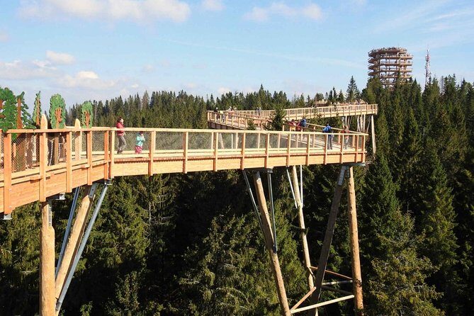 From Kraków: Slovakia Treetop Walk and Bachledka Ski - The Sum Up