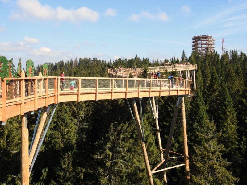 From Kraków: Slovakia Treetop Walk and Thermal Baths - From Kraków: Slovakia Treetop Walk and Thermal Baths — An In-Depth Review