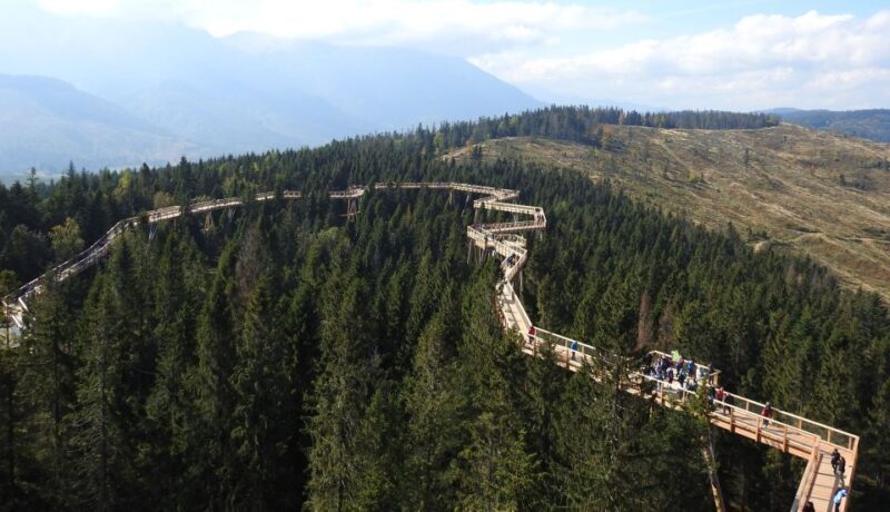 From Kraków: Slovakia Treetop Walk and Thermal Baths - Who Will Love This Tour?