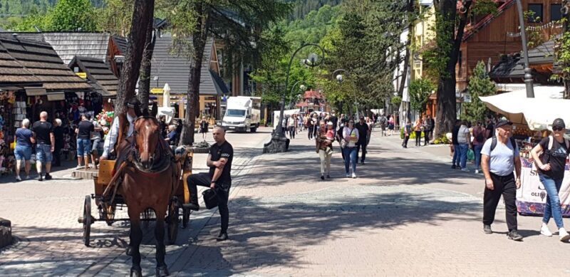 From Krakow: Slovakia Treetop Walk and Zakopane Tour - FAQs