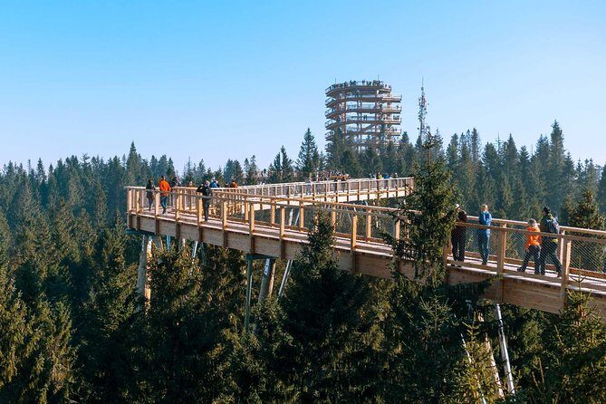 From Kraków: Slovakia Treetop Walk Bachledka and Zakopane - Frequently Asked Questions
