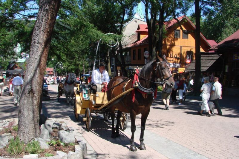 From Krakow: Slovakia Treetop Walk, Zakopane & Thermal Spa - FAQs