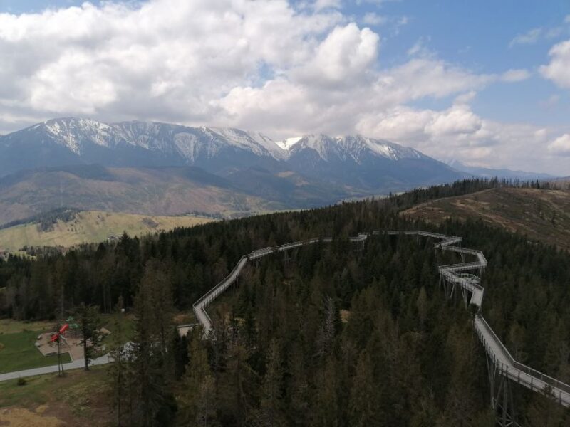 From Krakow: Treetop Walk & Zakopane Visit Small Group Tour - A Detailed Look at the Experience