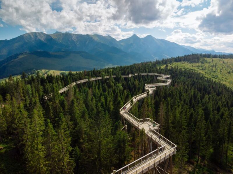 From Krakow: Treetop Walk & Zakopane Visit Small Group Tour - The Sum Up: Who Is This Tour Best For?