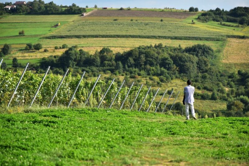 From Krakow: Wine Tasting at Vineyard - Final Thoughts
