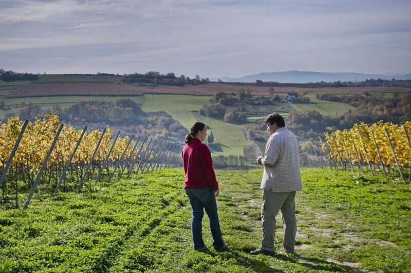 From Krakow: Wine Tasting at Vineyard - Final Word