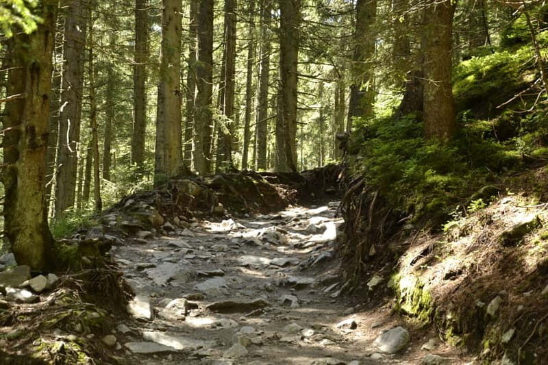 From Krakow: Zakopane and Tatra Mountains Full-Day Trip - From Krakow: Zakopane and Tatra Mountains Full-Day Trip – A Practical Guide