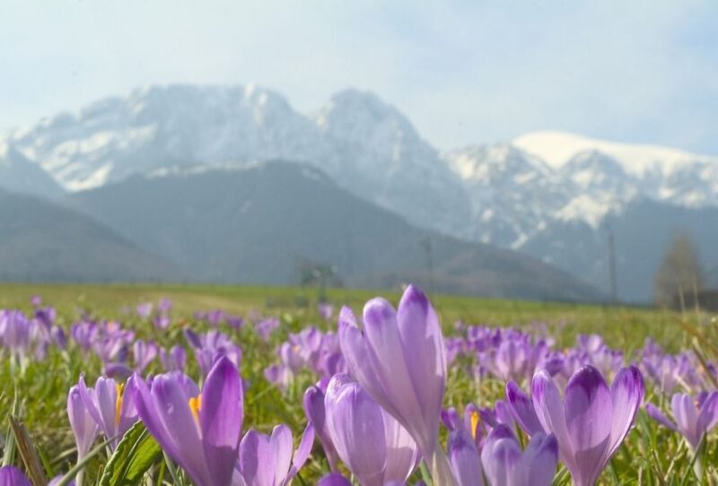 From Krakow: Zakopane and Tatras Mountains Full-Day Tour - Key Points
