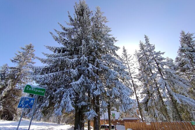 From Krakow: Zakopane & Chocholowskie Thermal Baths - A Detailed Look at the Zakopane & Chocholowskie Thermal Baths Tour