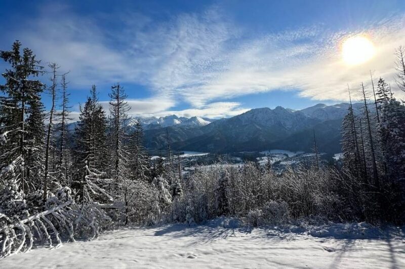 From Krakow: Zakopane Day Trip with Funicular & Food Tasting - A Deep Dive into the Zakopane Day Trip