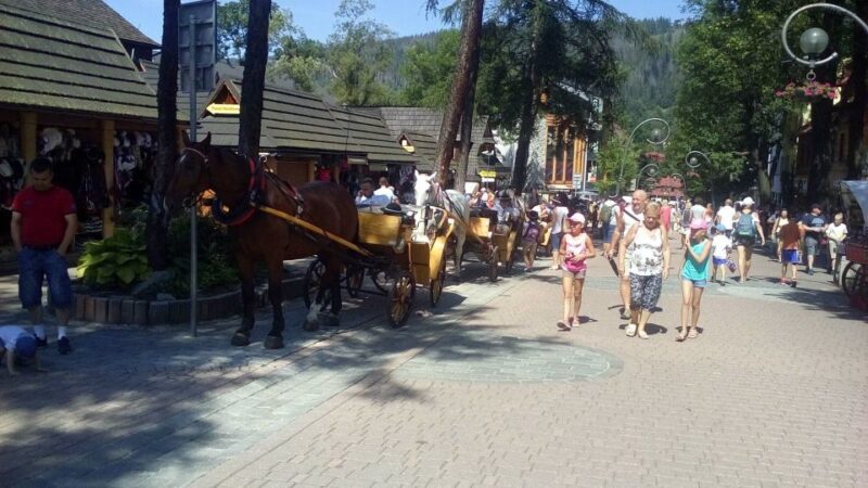 From Krakow: Zakopane & Hot Thermal Springs Private Tour - Who Will Love This Tour?