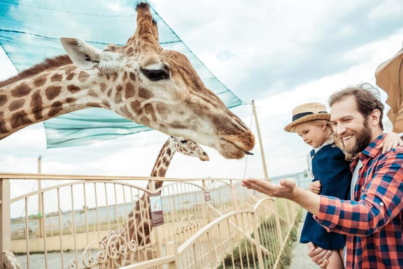 From Krakow: Zoo Trip with Private Luxury Transfer - Detailed Review