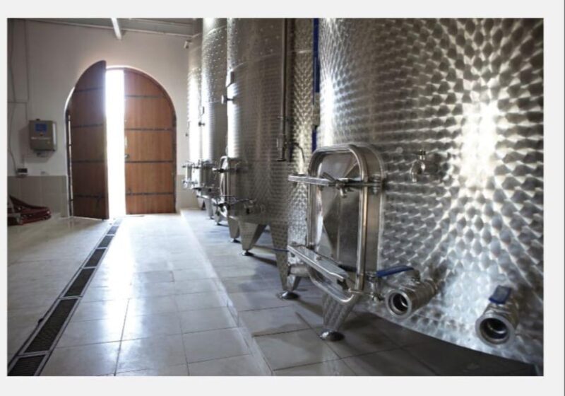 From Kuadas: Private Ephesus and Wine Tasting Tour - The Bottom Line