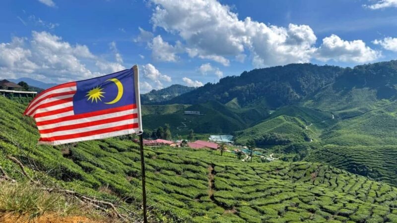 From Kuala Lumpur: Cameron Highlands Day Tour w/Lunch&Pickup - Frequently Asked Questions