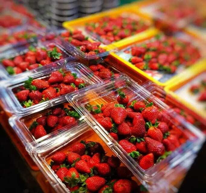 From Kuala Lumpur: Cameron Highlands Day Trip with Transfers - How the Experience Feels in Practice