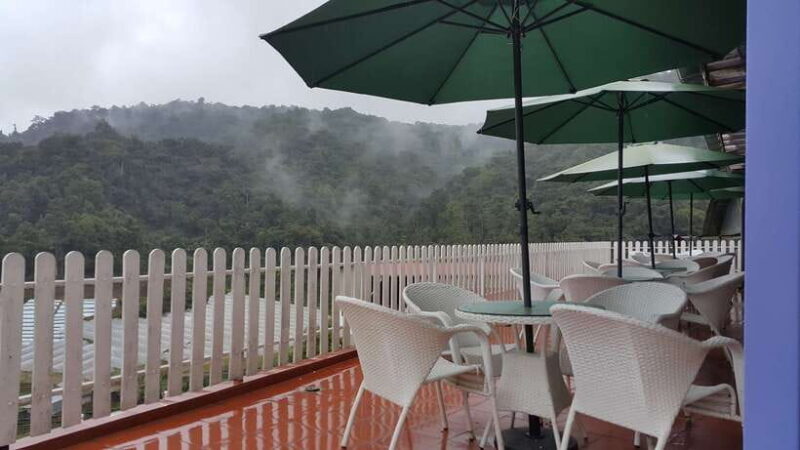 From Kuala Lumpur: Cameron Highlands Full-Day Tour - Who Will Appreciate This Tour?