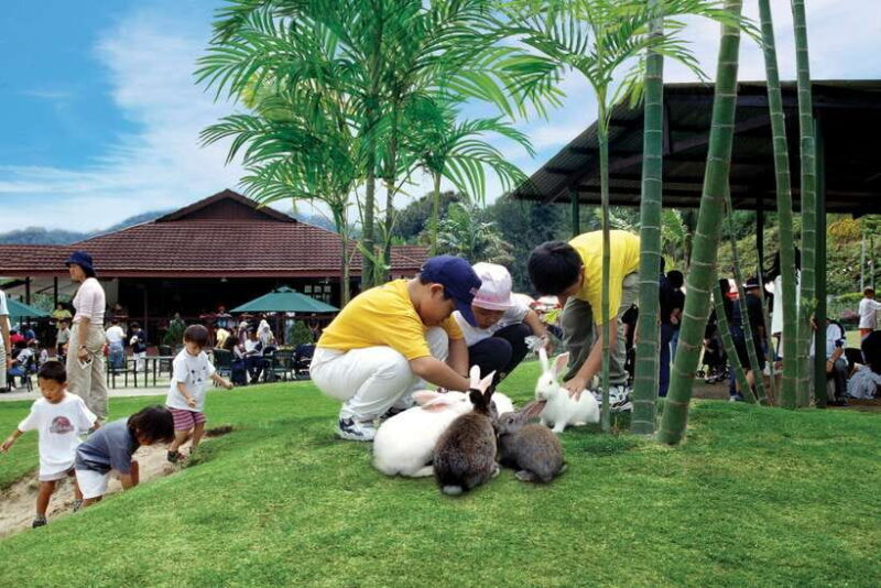 From Kuala Lumpur: Colmar Tropicale and Batu Caves Day Trip - Who Will Enjoy This Tour