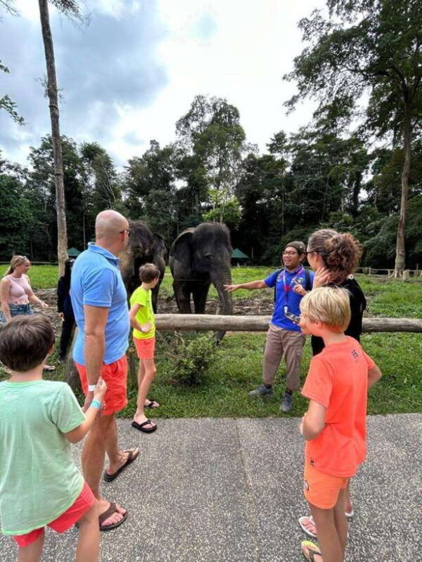 From Kuala Lumpur: Elephant Sanctuary Guided Tour - From Kuala Lumpur: Elephant Sanctuary Guided Tour — A Close Encounter with Malaysia’s Gentle Giants