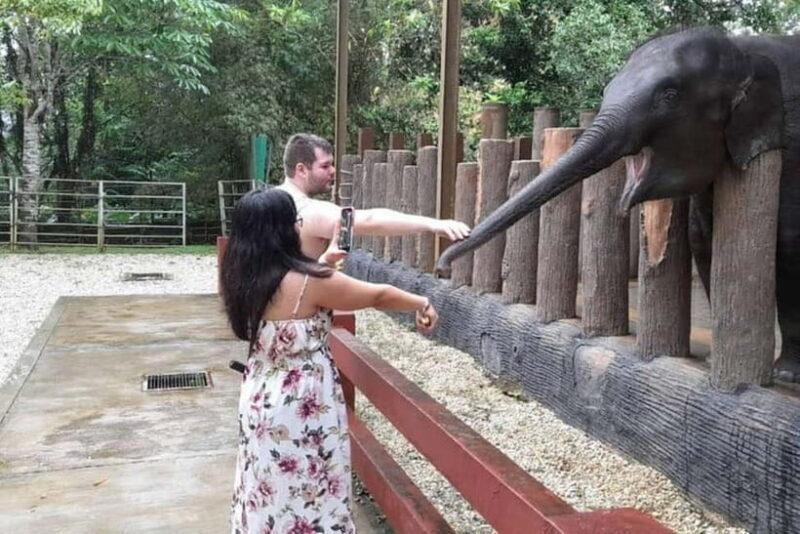 From Kuala Lumpur: Kuala Gandah & Batu Caves Day Trip - Exploring the Tour: A Detailed Look