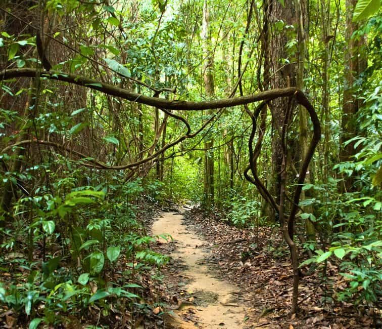 From Kuala Lumpur: Taman Negara National Park Private Tour - Key Points