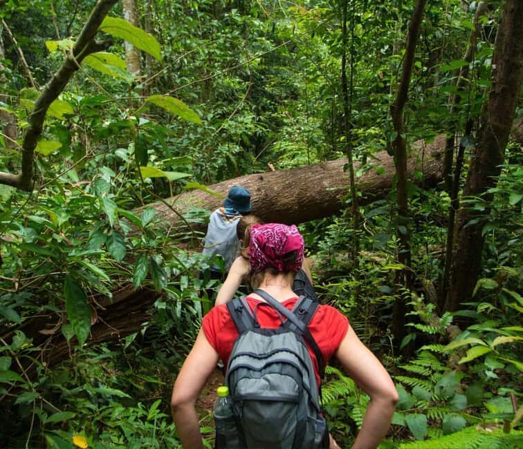 From Kuala Lumpur: Taman Negara National Park Private Tour - A Closer Look at the Details