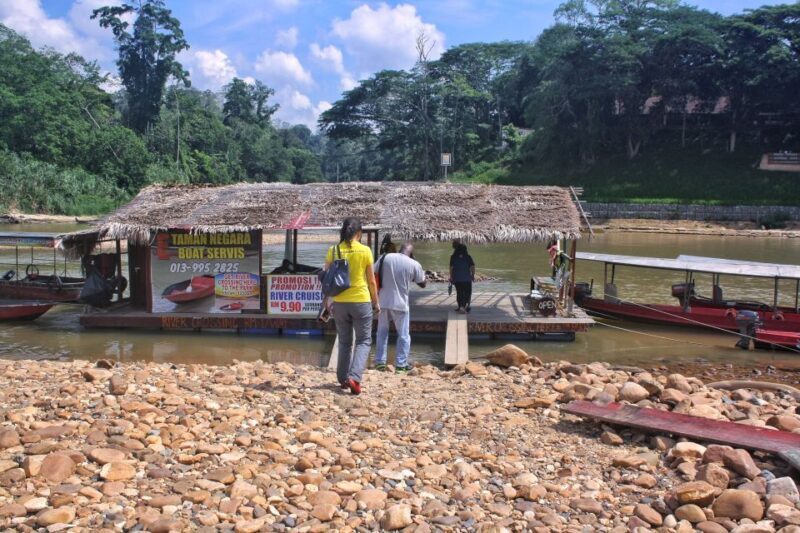 From Kuala Lumpur: Taman Negara National Park Trek Day Tour - Who Should Consider This Tour?