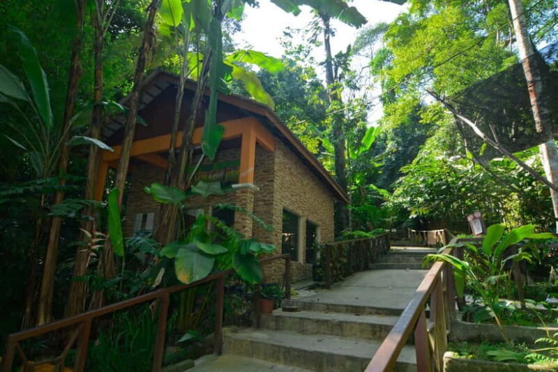 From Kuala Lumpur: Taman Negara Private Tour - Key Points