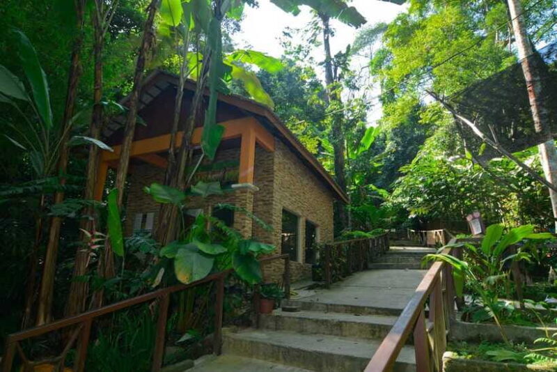 From Kuala Lumpur: Taman Negara Private Tour - FAQ